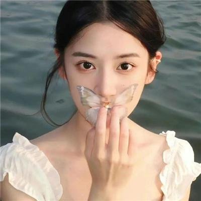 双子镇 封面